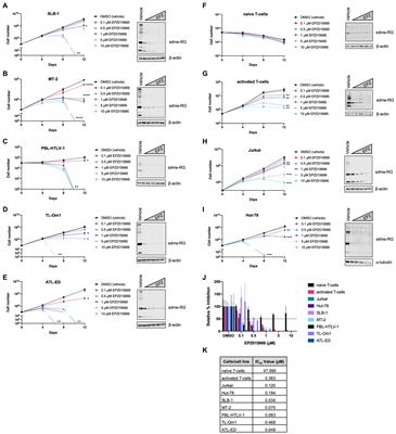 The PRMT5 inhibitor EPZ015666 is effective against HTLV-1-transformed T-cell lines in vitro and in vivo